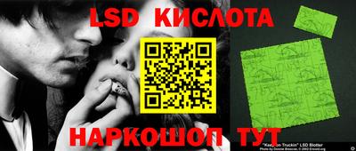Альфа ПВП Ставрополь