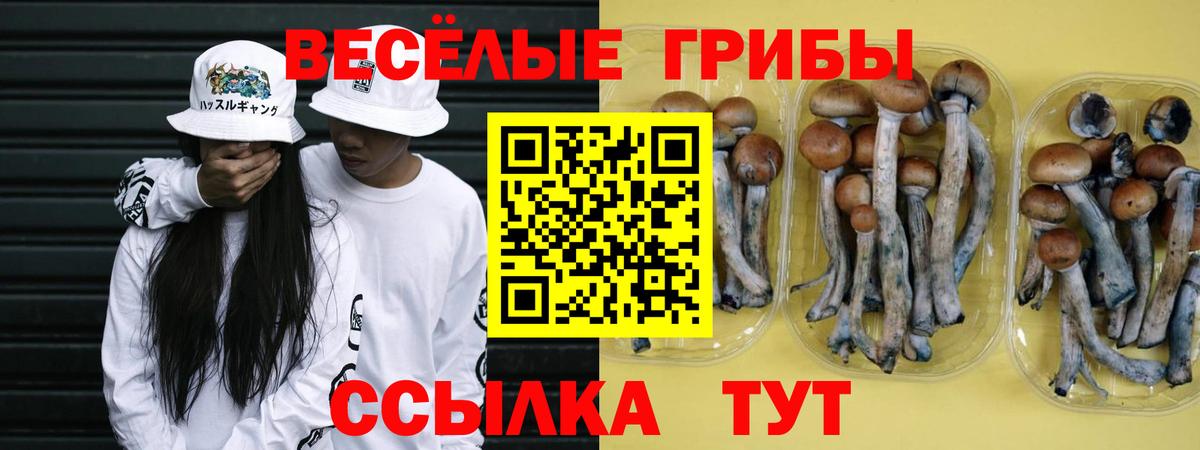 Псилоцибиновые грибы прущие грибы Усолье-Сибирское